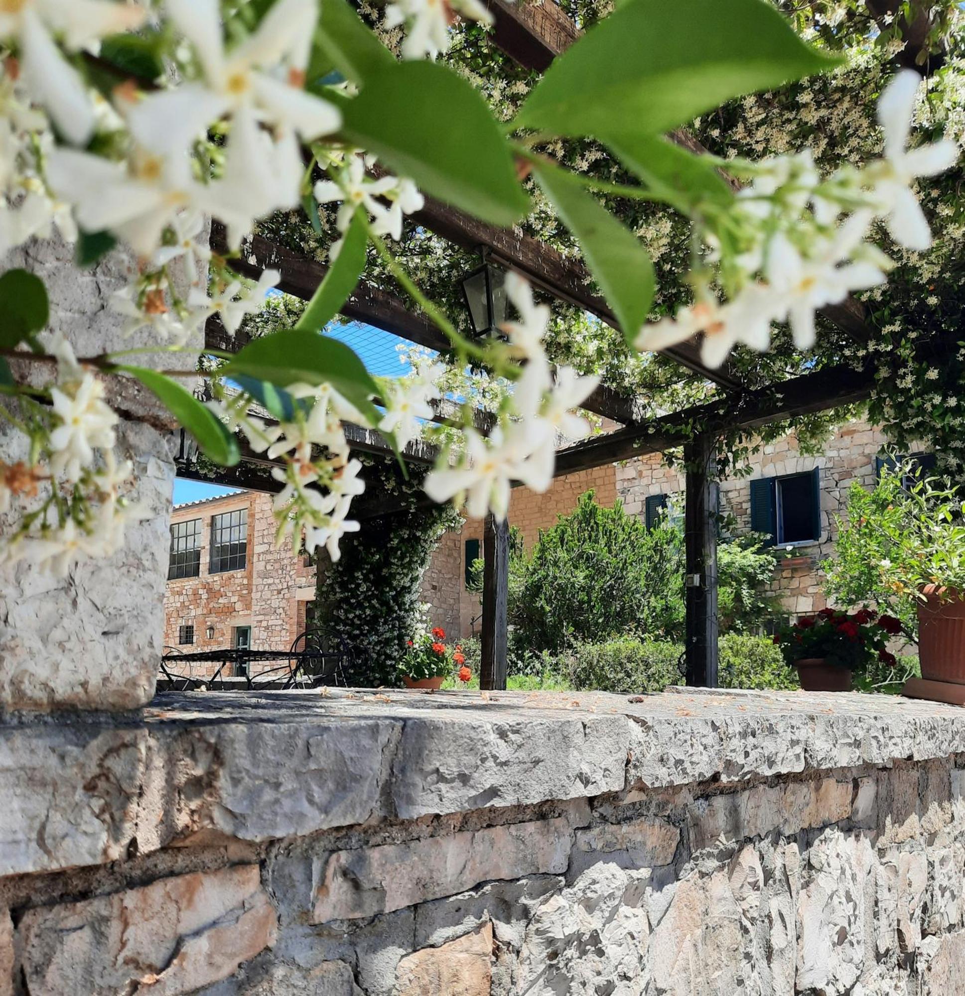Agriturismo Tenuta Conti Faina Fratta Todina Luaran gambar